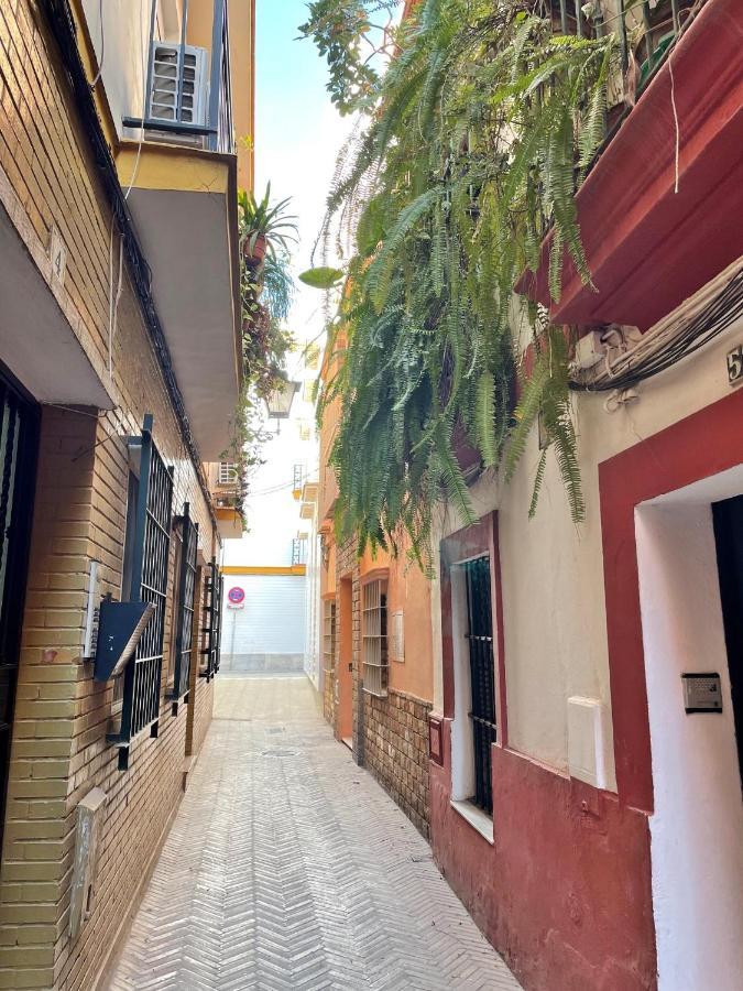 Barrio De Santa Cruz, La Juderia. Zona Inmejorable Apartment Seville Ngoại thất bức ảnh