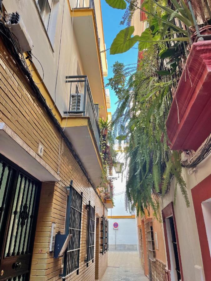 Barrio De Santa Cruz, La Juderia. Zona Inmejorable Apartment Seville Ngoại thất bức ảnh
